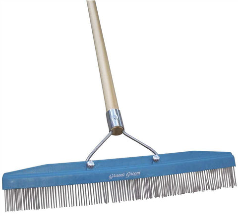 Carpet Rake With Handle, 16 In.