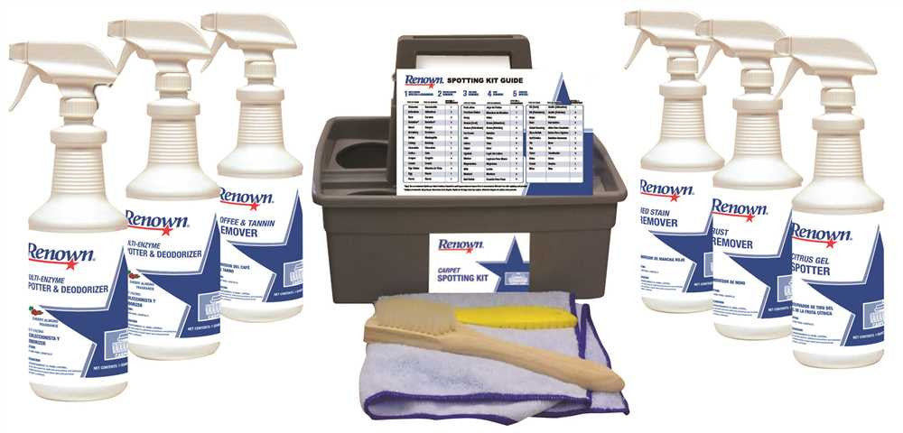 Renown&reg; Carpet Spotting Kit