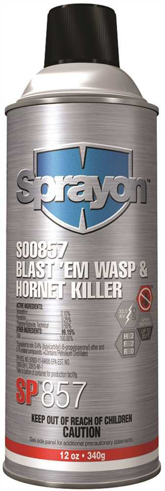 Sprayon&reg; Sp&trade;857 Blast'em&trade; Wasp & Hornet Killer, 12 Oz.