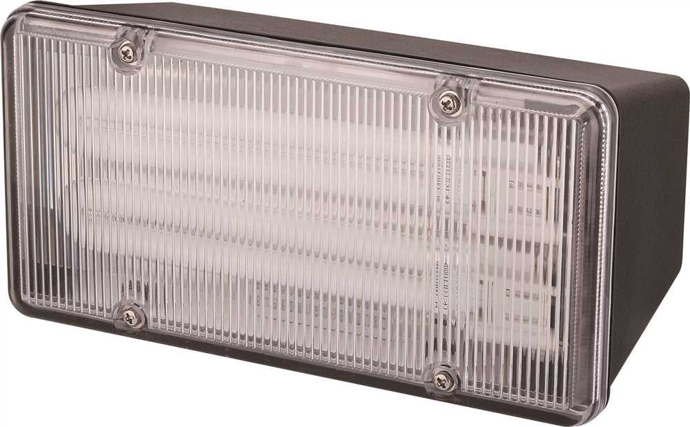 Monument Wall- Or Ceiling-mounted Fluorescent Commercial Floodlight, Black, 2 13-watt Pl Lamps (included)