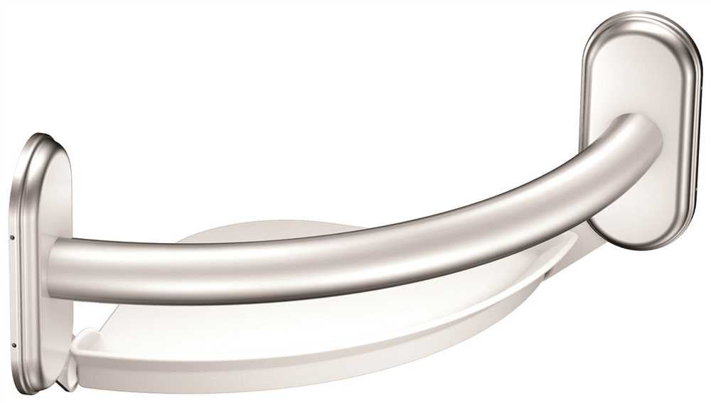 Moen Csi Grab Bar Chrome With Accessories, 9 In.