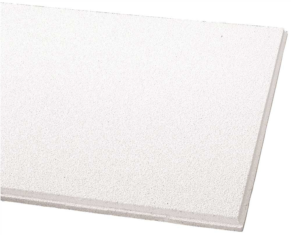 Armstrong&reg; Dune&trade; Beveled Tegular Ceiling Tile, 9-16 In., 24x48x5-8 In., 10 Pieces Per Carton