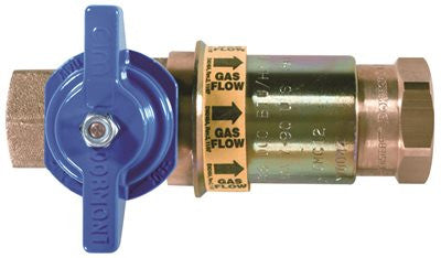 Valve Safety Quik 1-2 In.