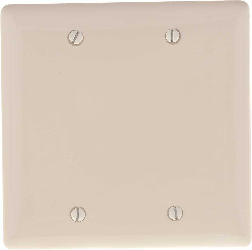 Wallplate 2 Gang Blank White