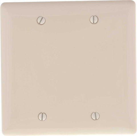 Wallplate 2 Gang Blank White