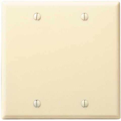 Blank Wallplate 2 Gang White