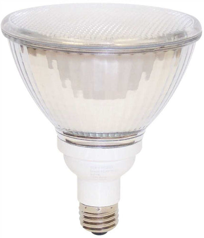 Par38 Type 19 Watt Compact Fluorescent Floodlight