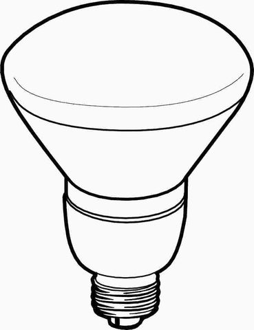 R30 Instabright 14 Watt Compact Fluorescent Floodlight