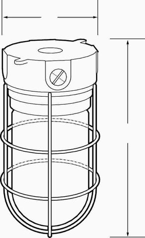 Ceiling Mount Vaporproof 100 Watt