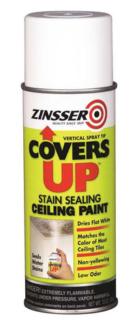 Stain Sealing Ceiling Paint Covers Up 13 Oz