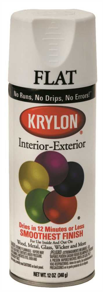 Krylon Interior-exterior Enamel Spray Paint 12 Oz Flat White