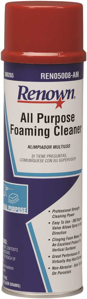 Renown&reg; All Purpose Foam Cleaner Aerosol, 19 Oz.