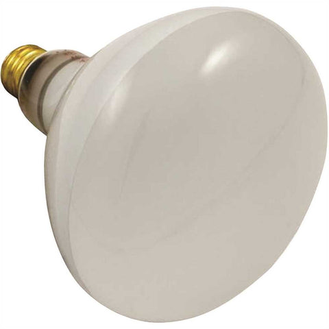 Reflector Pool Bulb 500 Watt, 120 Volt Short Stem