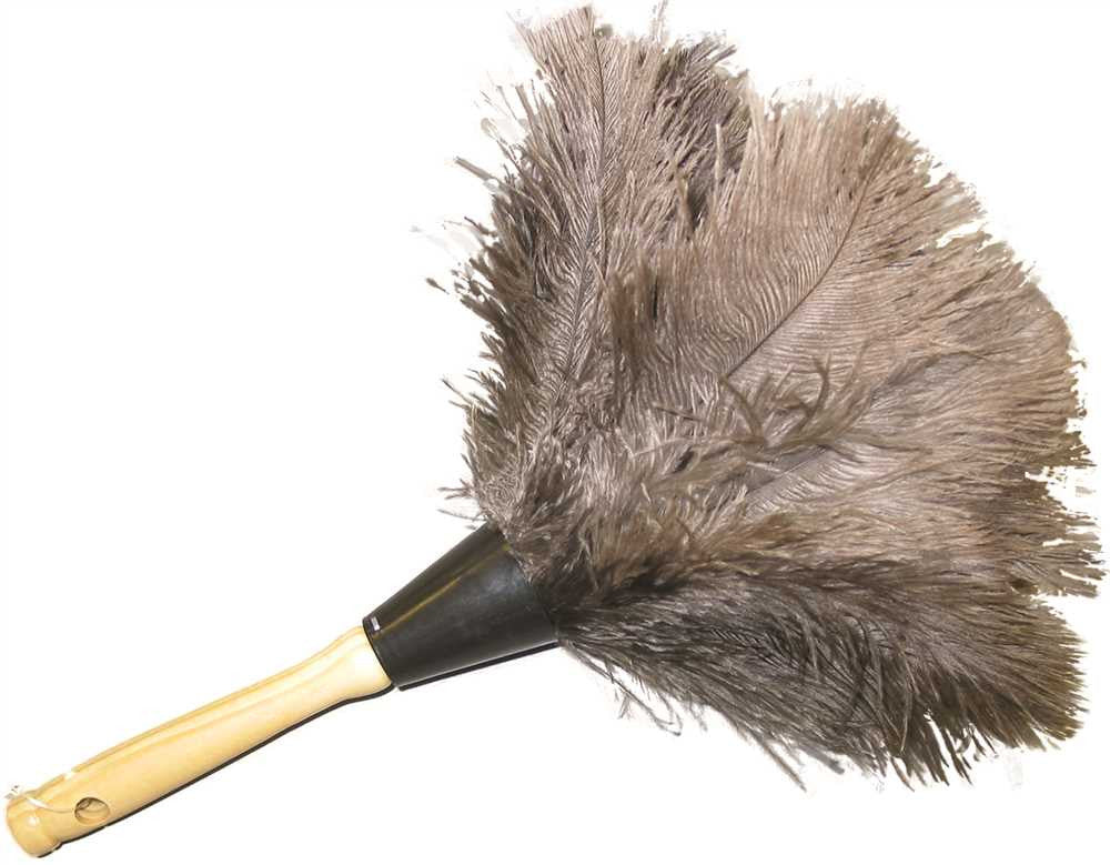 Feather Duster Ostrich 34 Inch